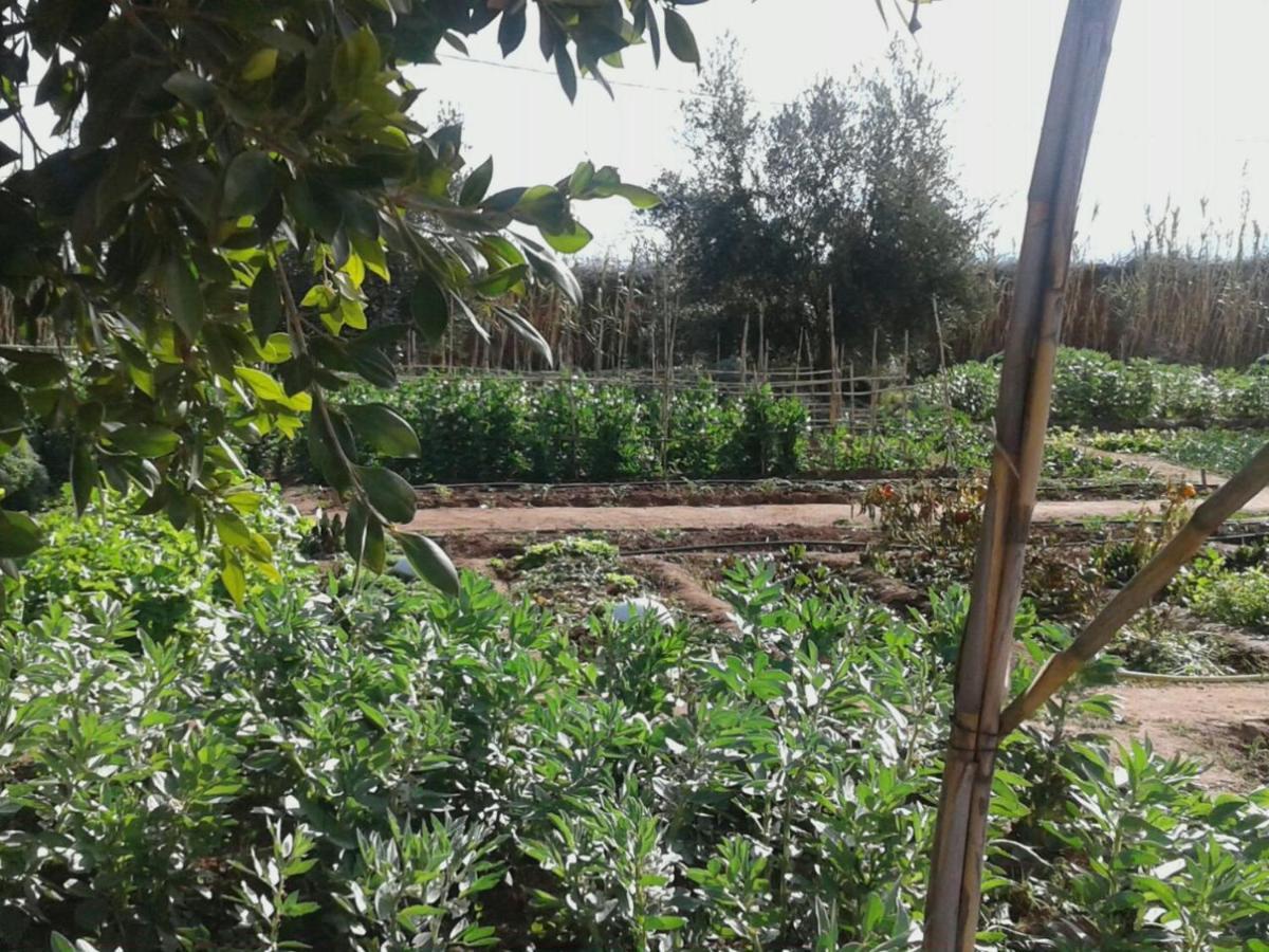 Dar Tasmayoun Ait Ourir Exterior photo